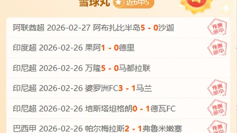 高志丹与泳联主席进行会见